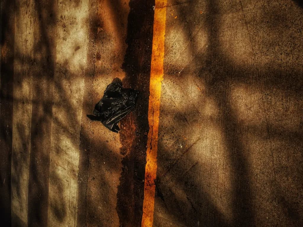 Shadow Line