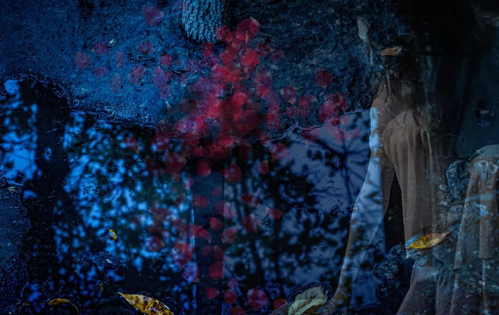 Reflections of Solitude