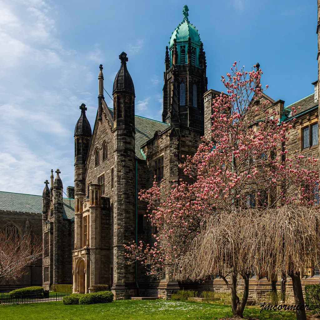 Spring at the Stone Tower