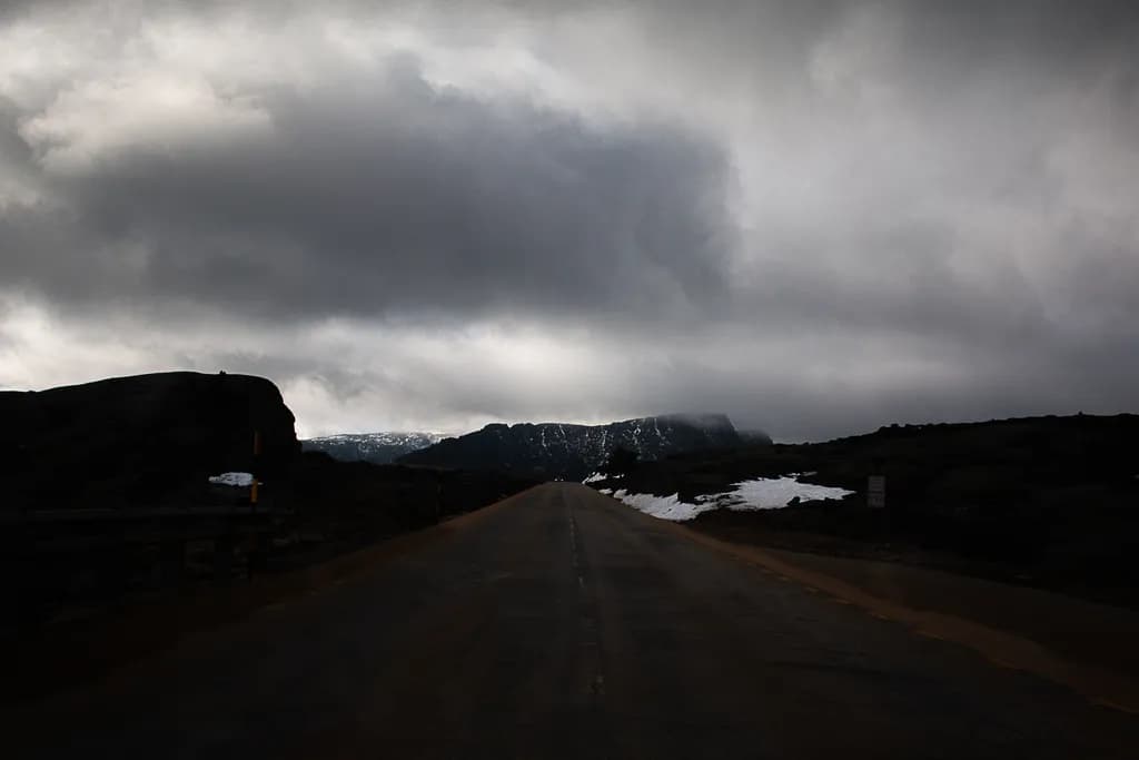 Lonely Journey
