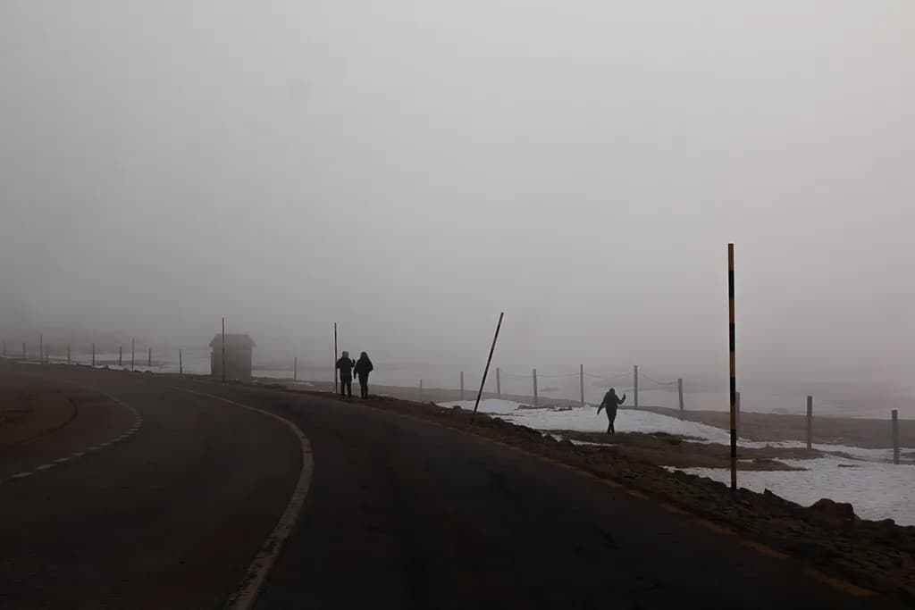 Misty Pathways