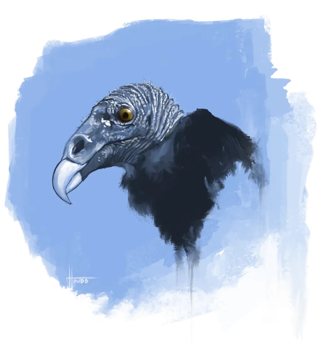 Majestic Vulture: A Striking Portrait of Nature's Scavenger