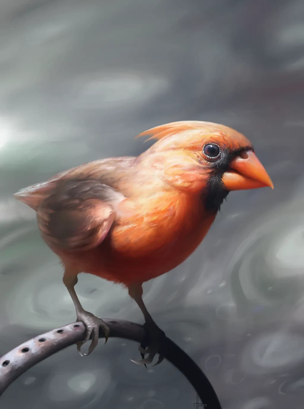 Vibrant Orange Cardinal: Nature's Feathered Jewel Perched in Serenity