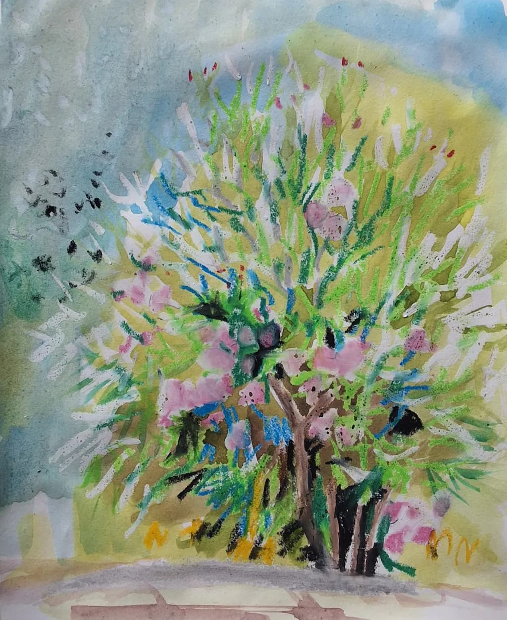 Flowering Tree Study
