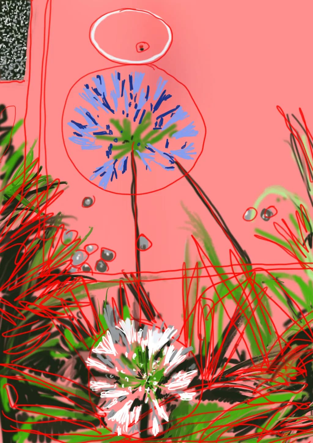 Floral Composition on Coral Background