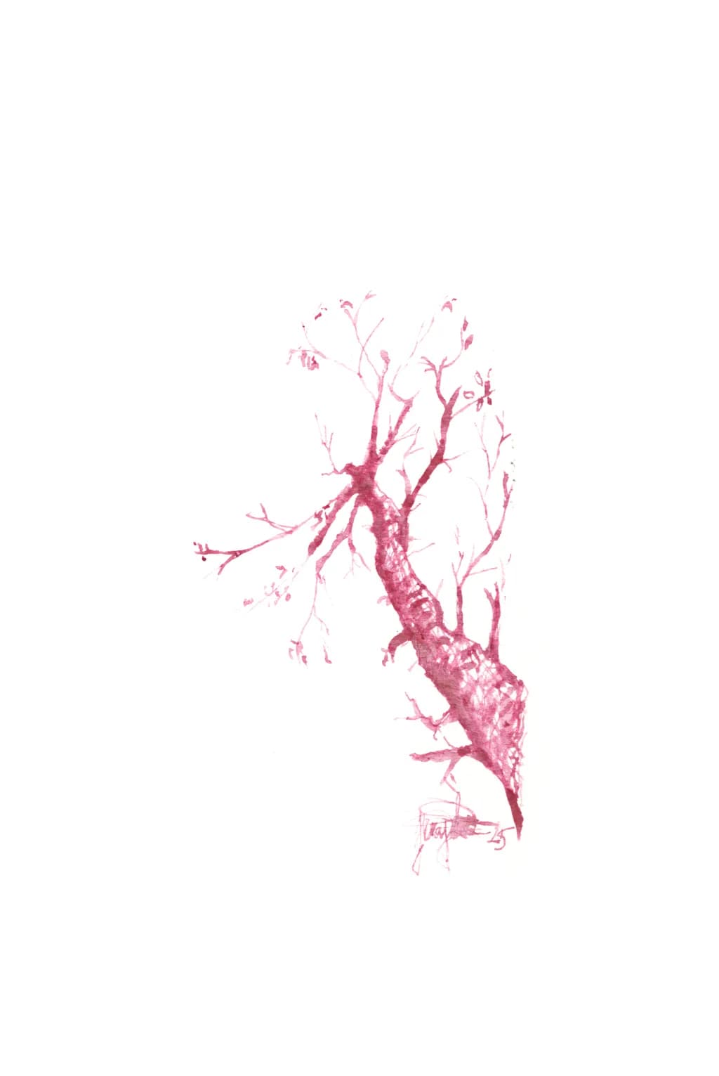 Whispers of Nature: A Delicate Dance of Branches in Soft Pink Hues