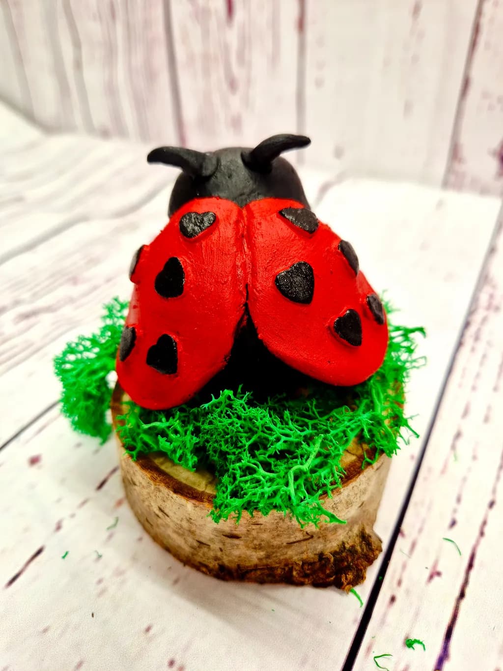 Ladybug Delight