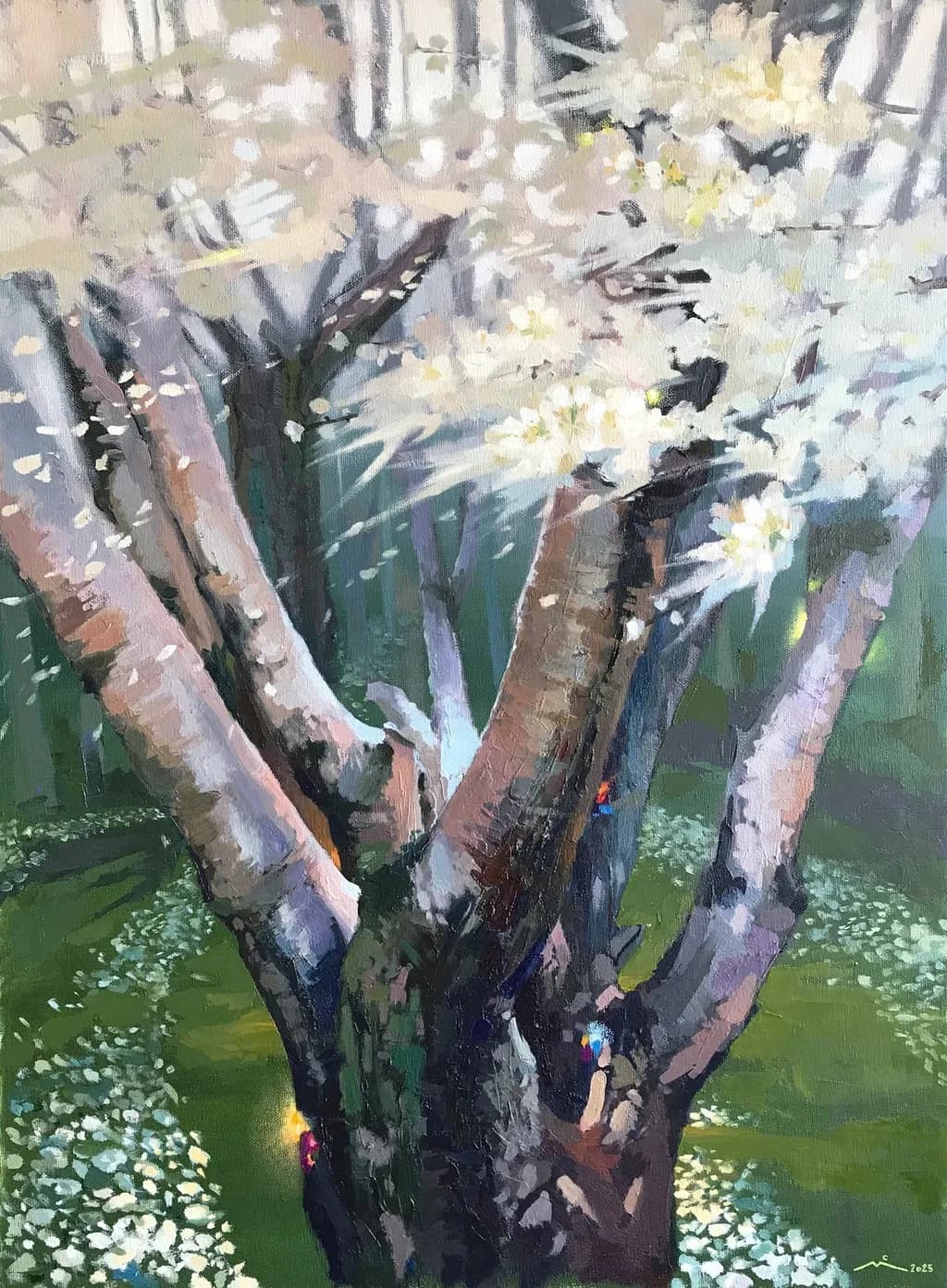 Whispers of Spring: A Blossoming Tree in a Serene Forest Glade