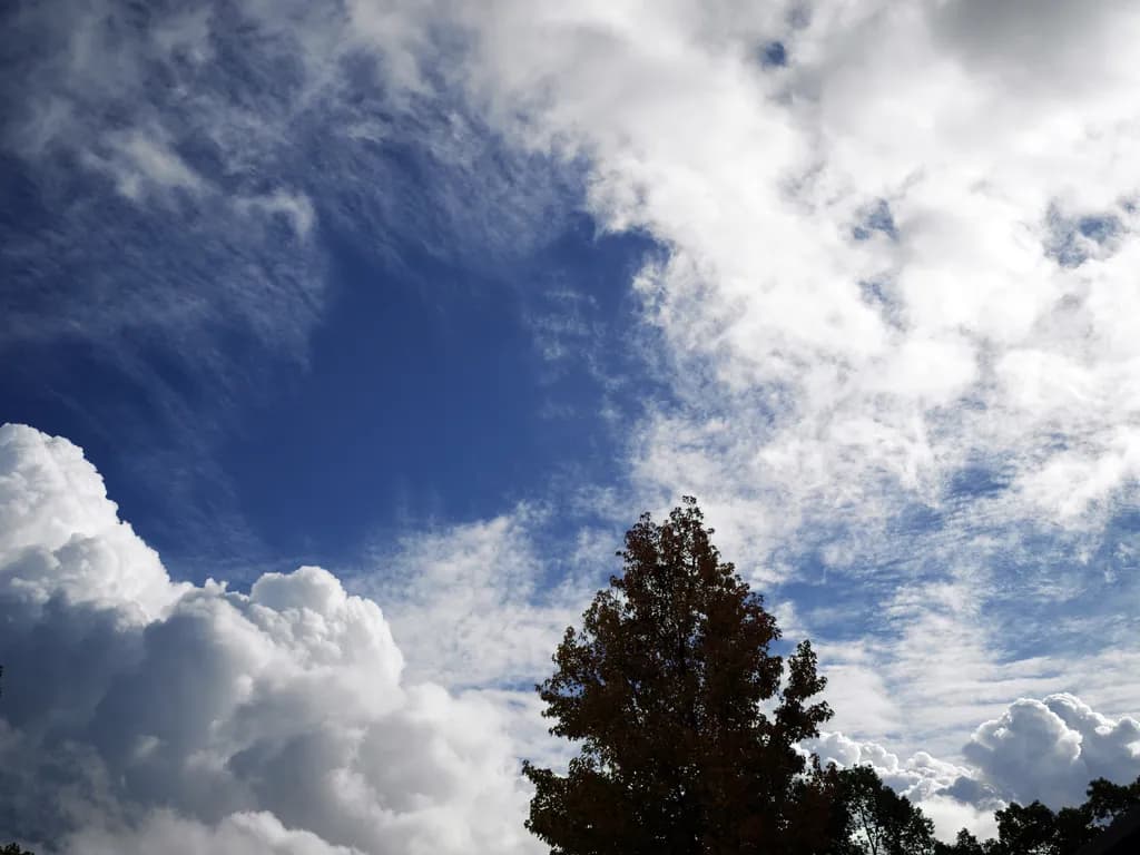 Whispers of the Sky: A Serene Dance of Clouds and Trees in Nature's Embrace