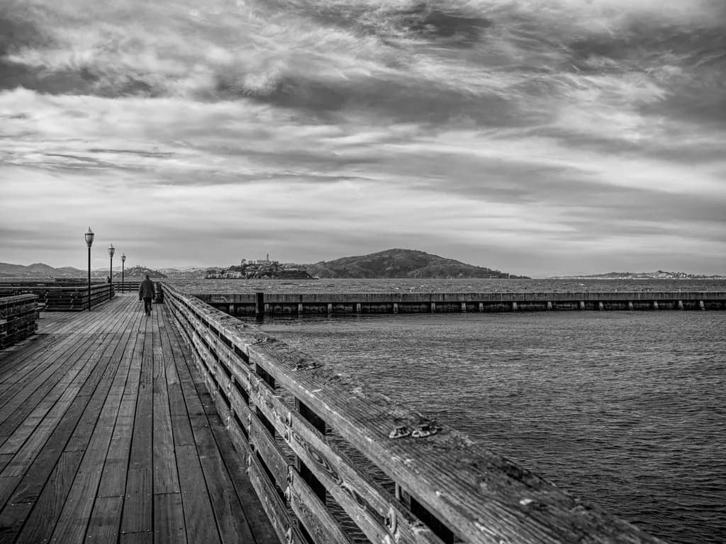 Monochrome Solitude