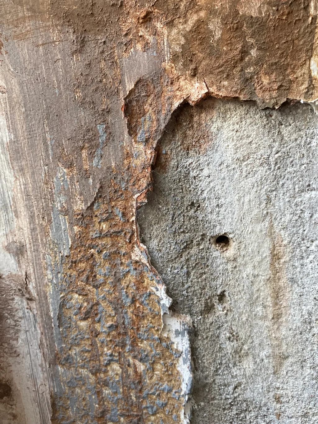 Weathered Whispers: An Abstract Exploration of Earthy Textures and Peeling Layers