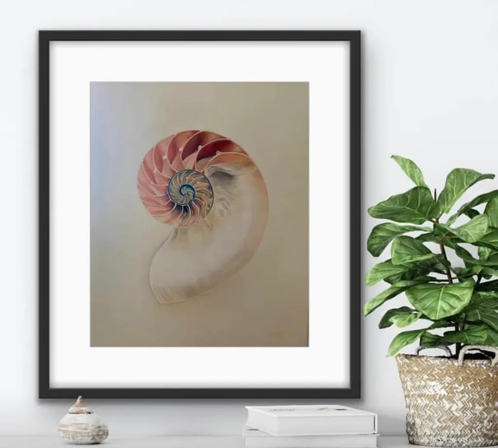 Eternal Spiral: The Nautilus Shell in Serene Elegance