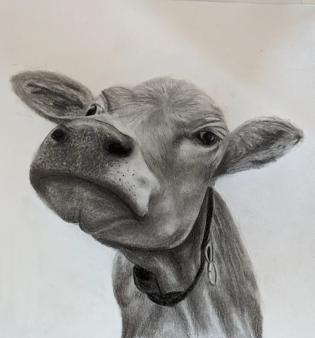 Charming Cow Portrait: A Whimsical Study in Charcoal and Expression