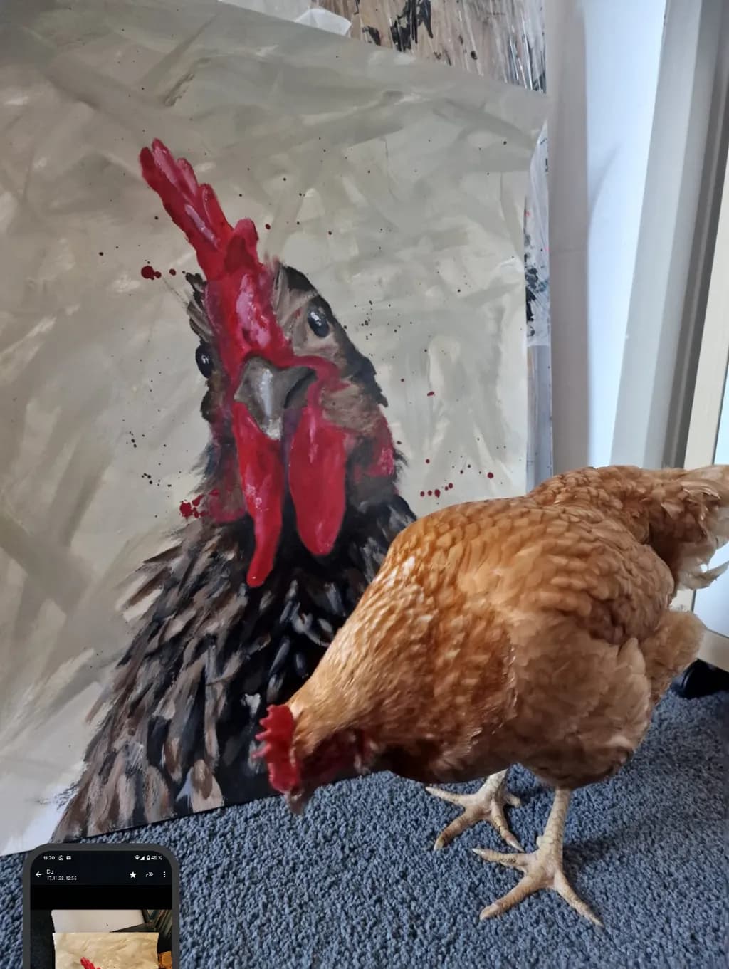 Vibrant Rooster Portrait: A Playful Encounter with Nature's Feathered Friend