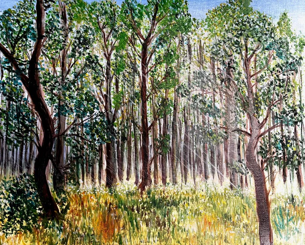 Whispers of Light: A Serene Forest Awakening