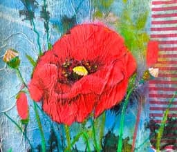 Poppy Flag Garden