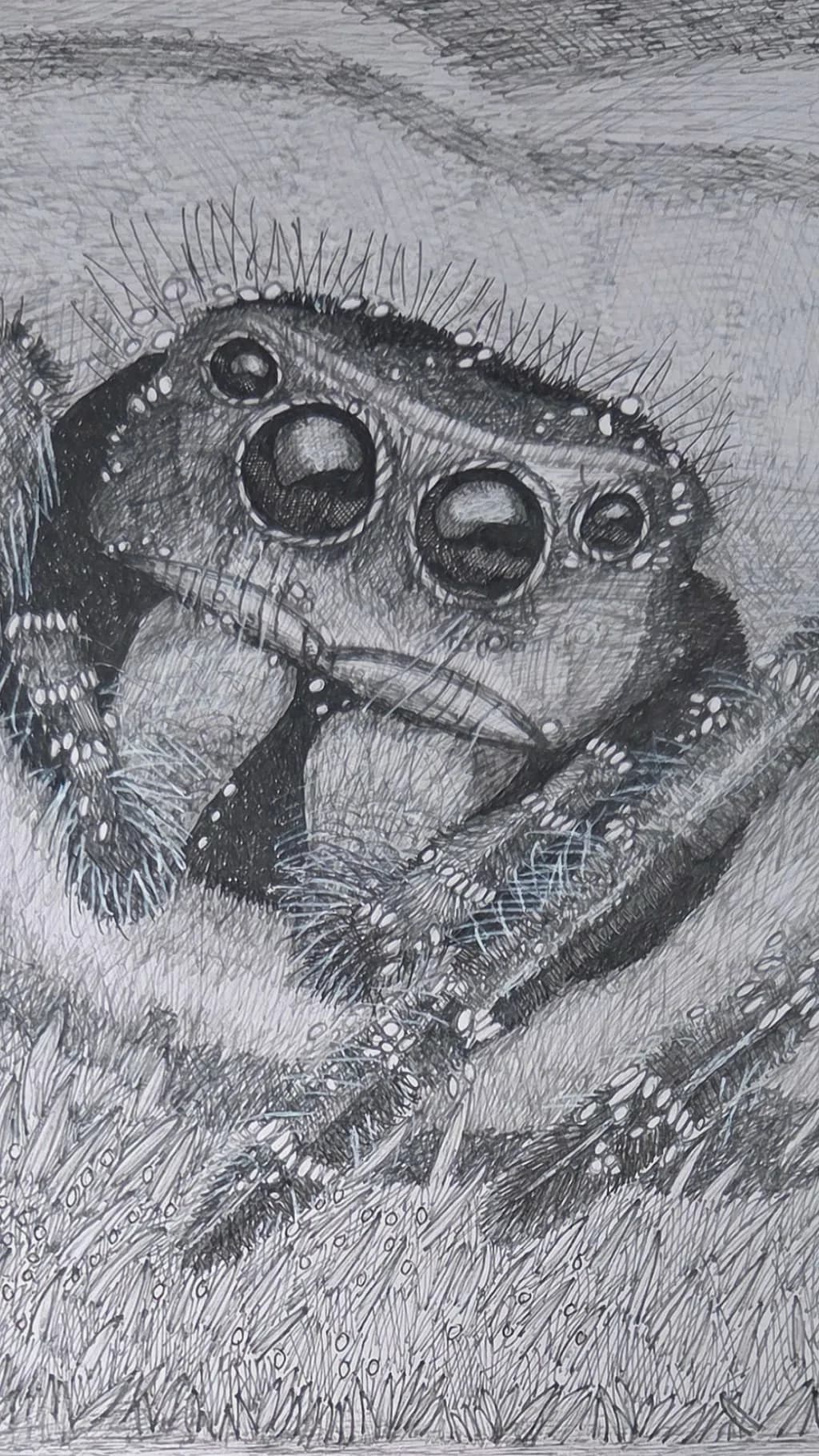 Intricate Gaze: A Close-Up Study of Nature's Arachnid Marvel