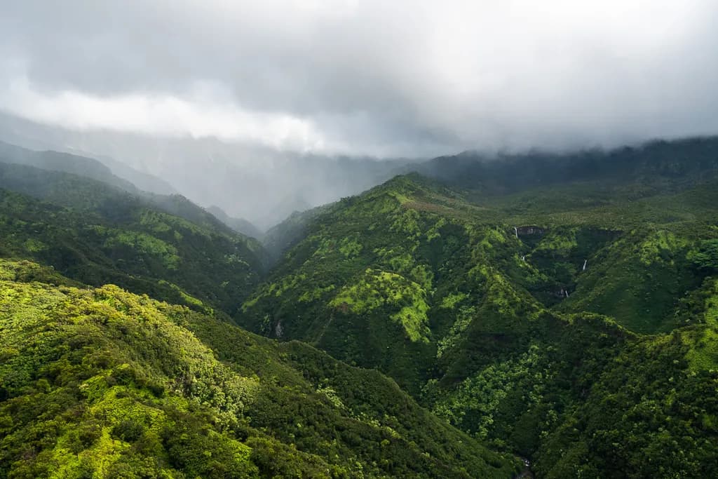Misty Green Valleys