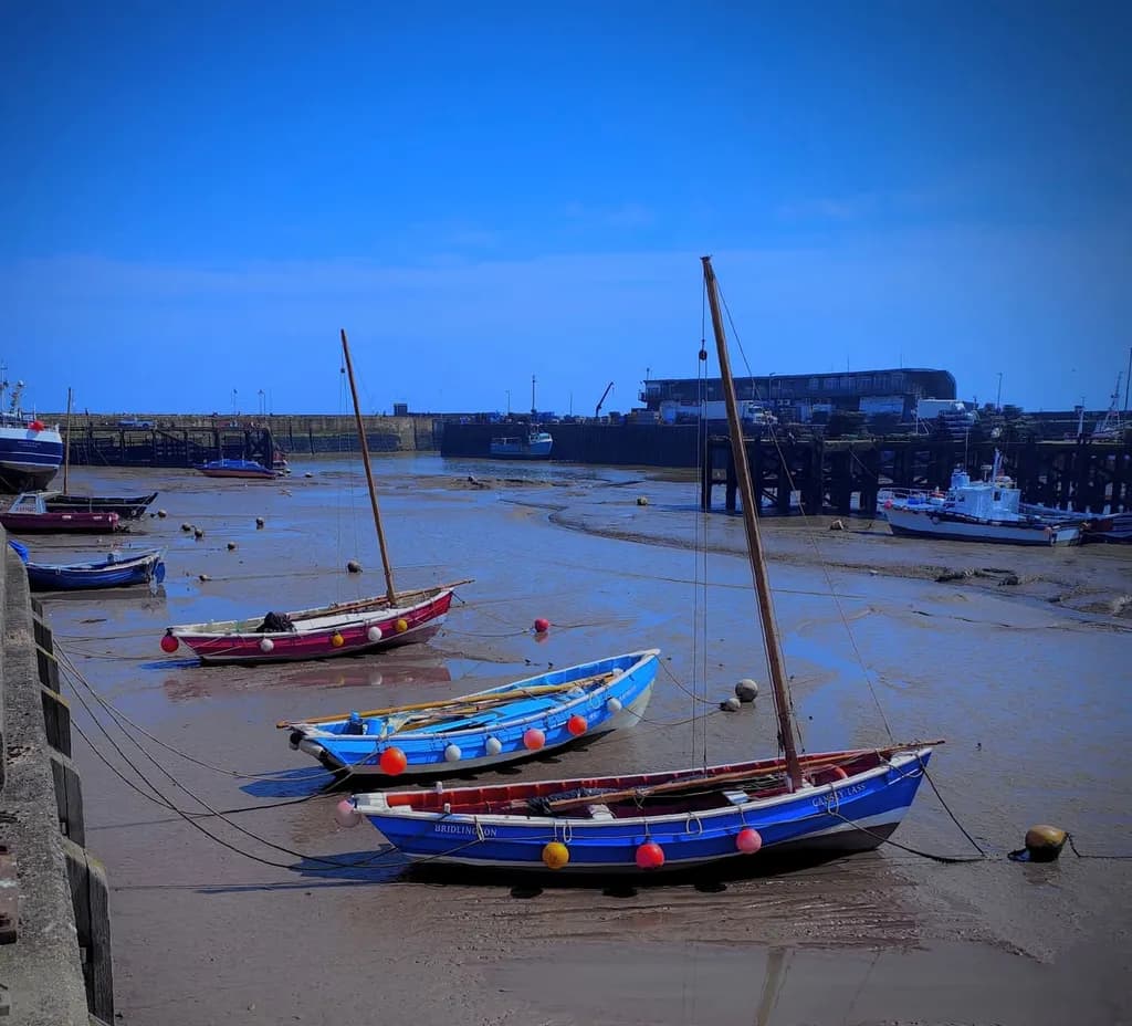Serenity at Low Tide: Colorful Boats Resting in Tranquil Waters