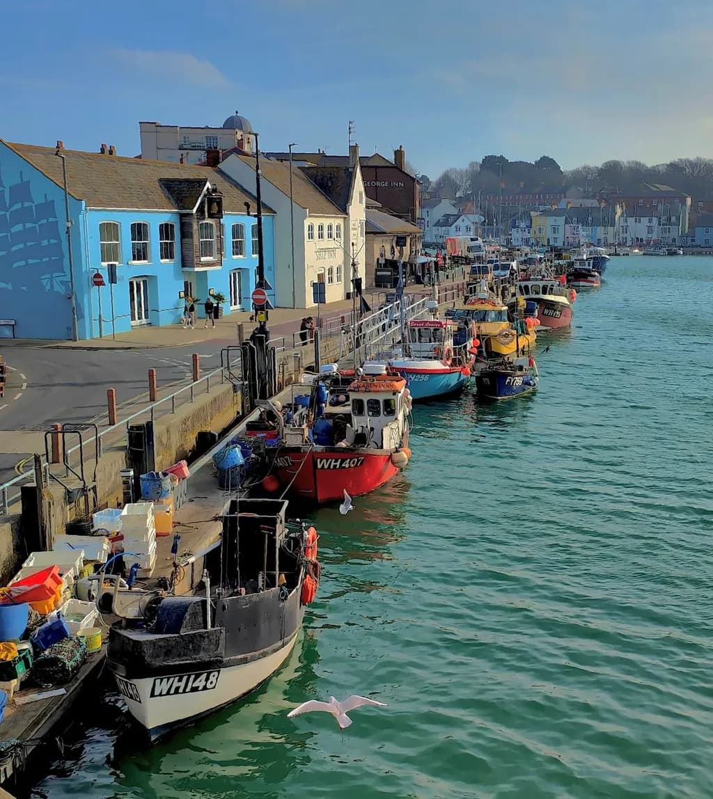 Harbor Serenity: A Colorful Dance of Boats and Seagulls by the Shoreline