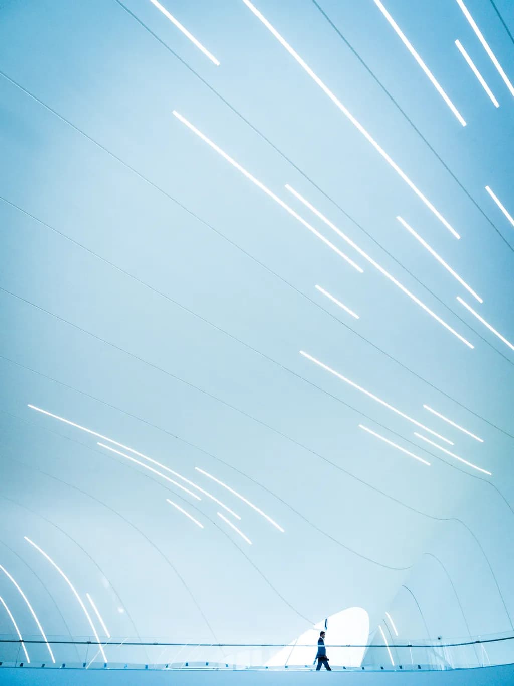 'Light in Motion'