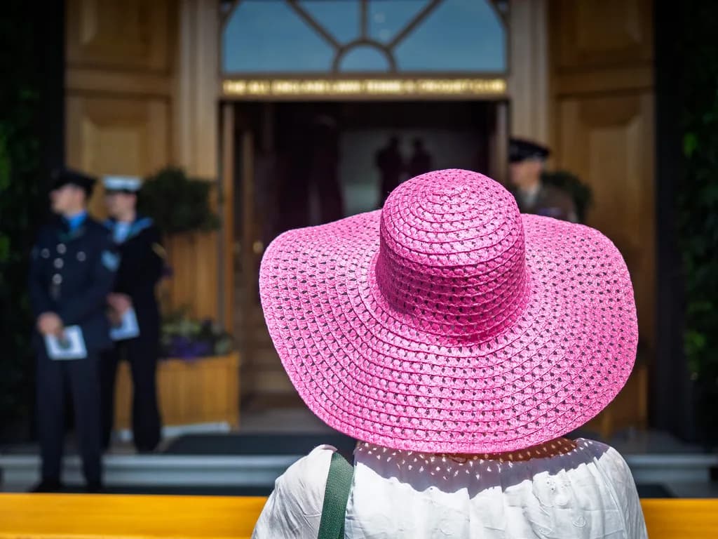 Pink Hat Perspective