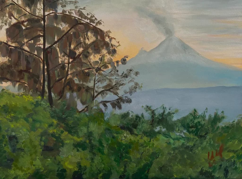 Smoky Mountain View