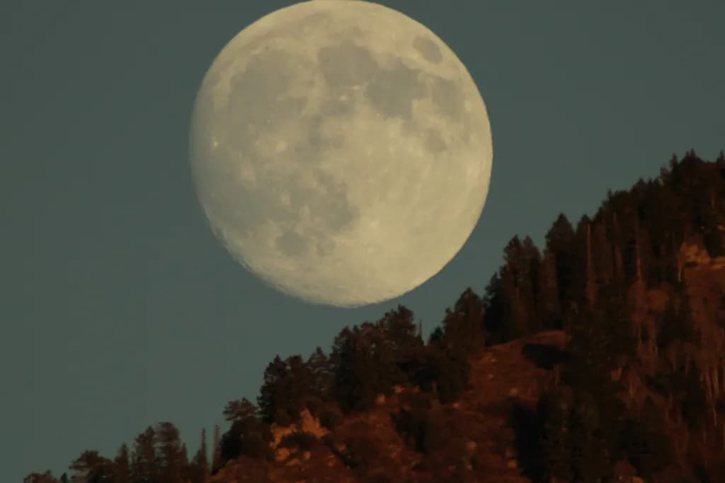 Moonrise Over Forested Hill