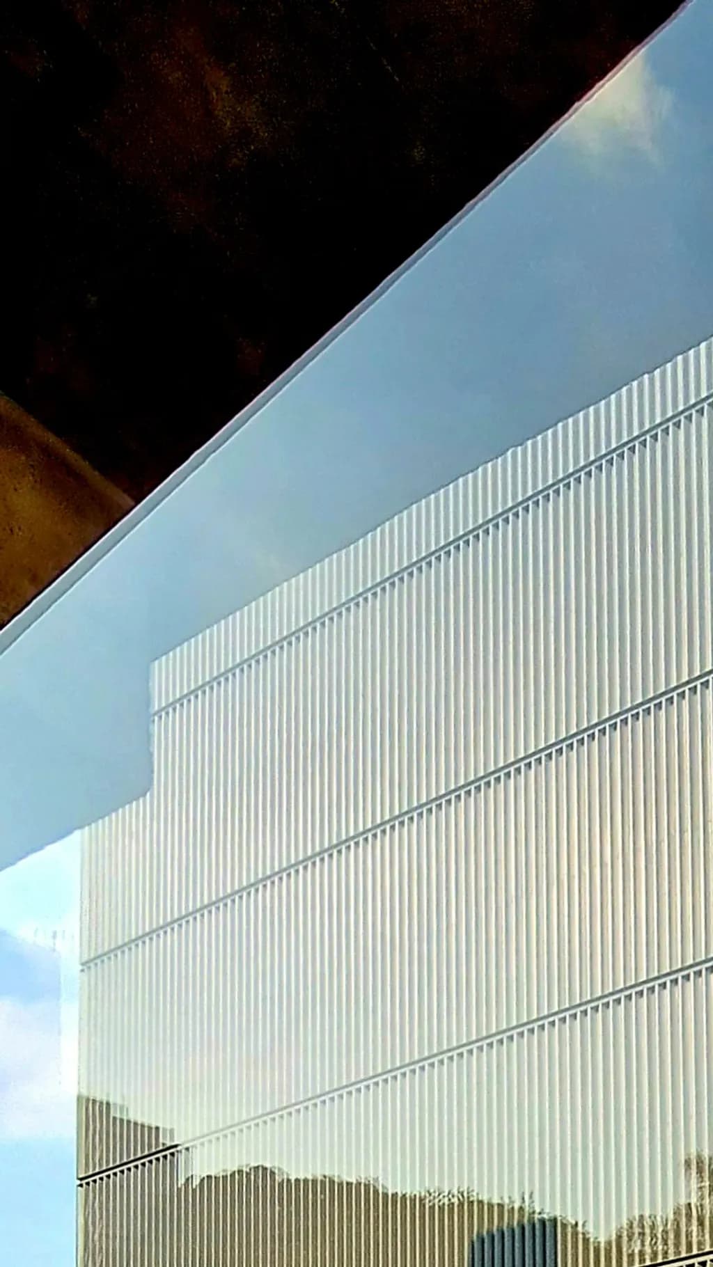 Reflexo Vertical