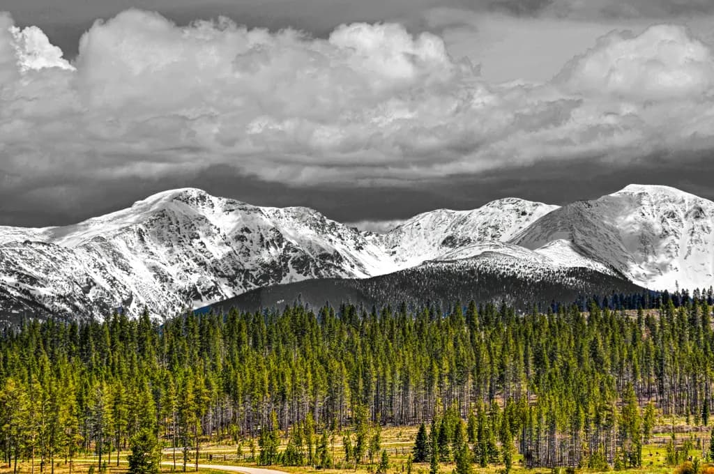 Nature’s Two-Tone Moment: Pines Beneath Snowy Ridges