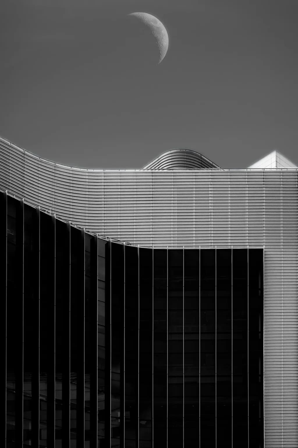 Urban Serenity: A Dance of Shadows and Light Beneath the Crescent Moon