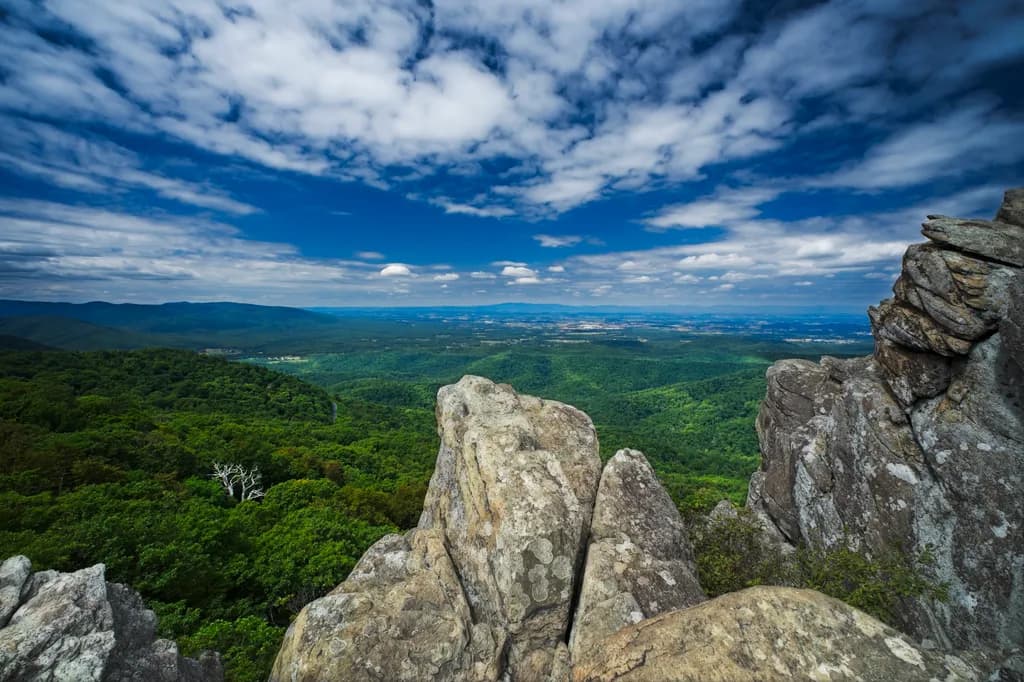 Whispers of the Mountains: A Serene Vista of Nature's Majesty