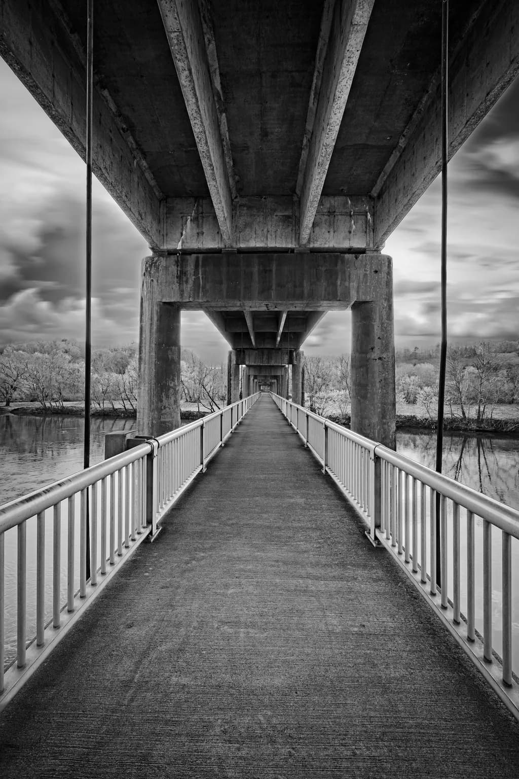 Under the Bridge: A Journey Through Shadows and Reflections