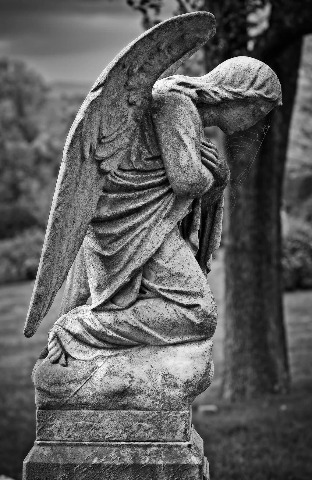 Whispers of Eternity: A Contemplative Angel in Stone