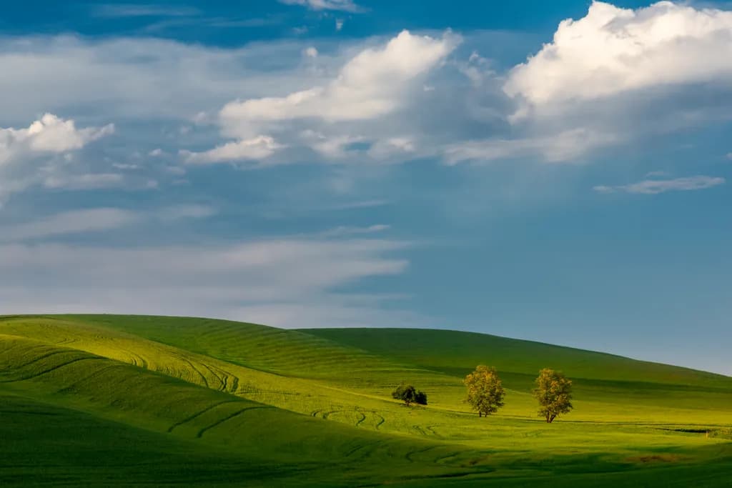 Sunlit Hill Trio
