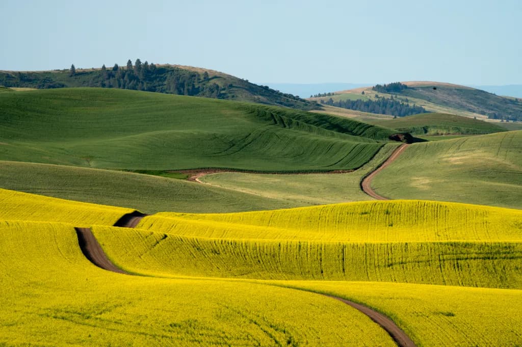 Winding Farmland Road