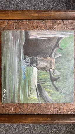 The Quiet Giant - Moose