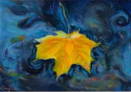 Floating Maple Leaf