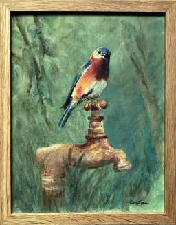 Bluebird Perch
