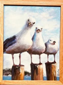Gulls Trio