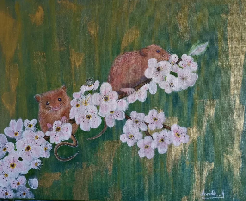In the Blossom