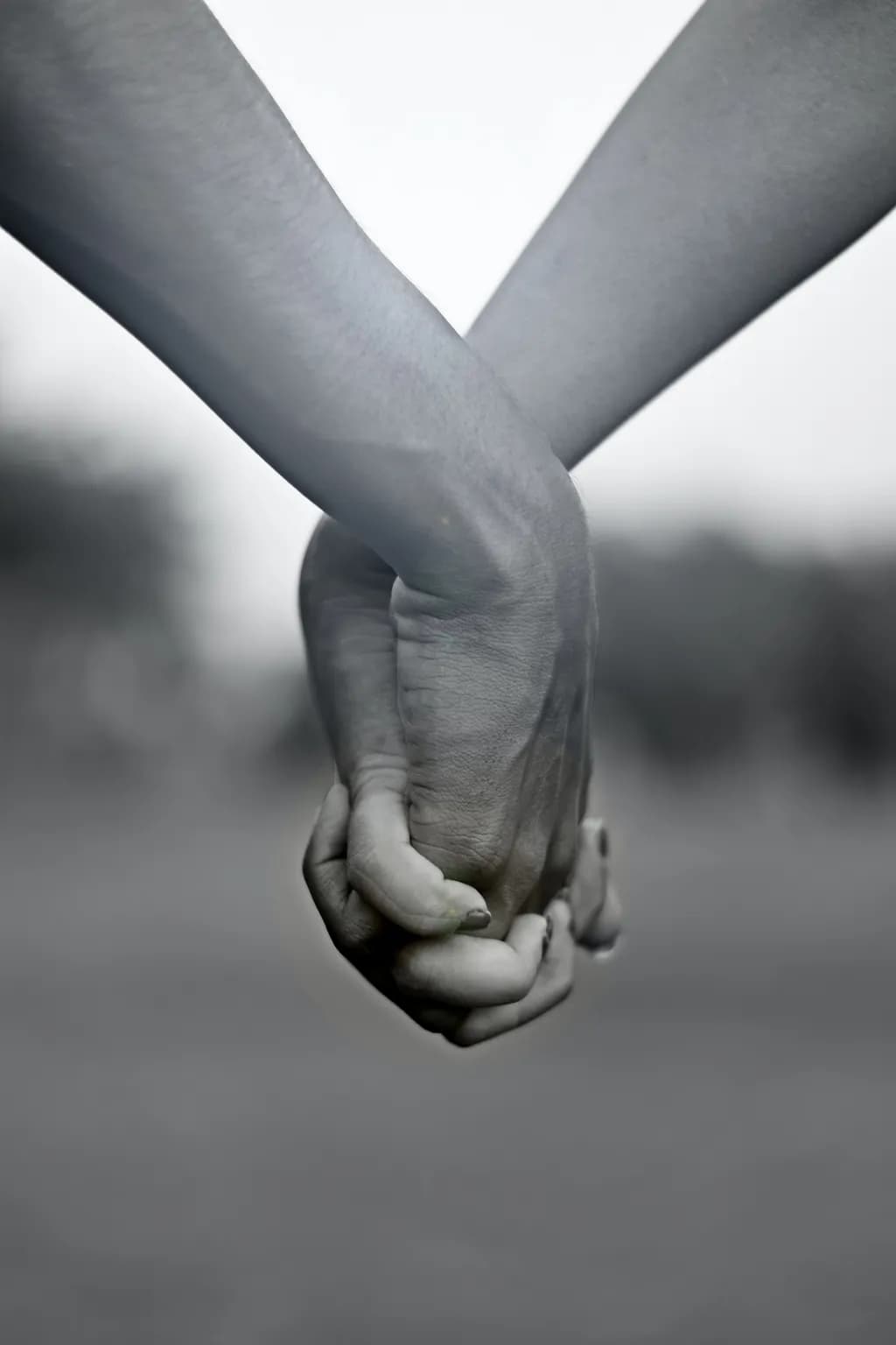 Eternal Embrace: A Black and White Journey of Connection and Love