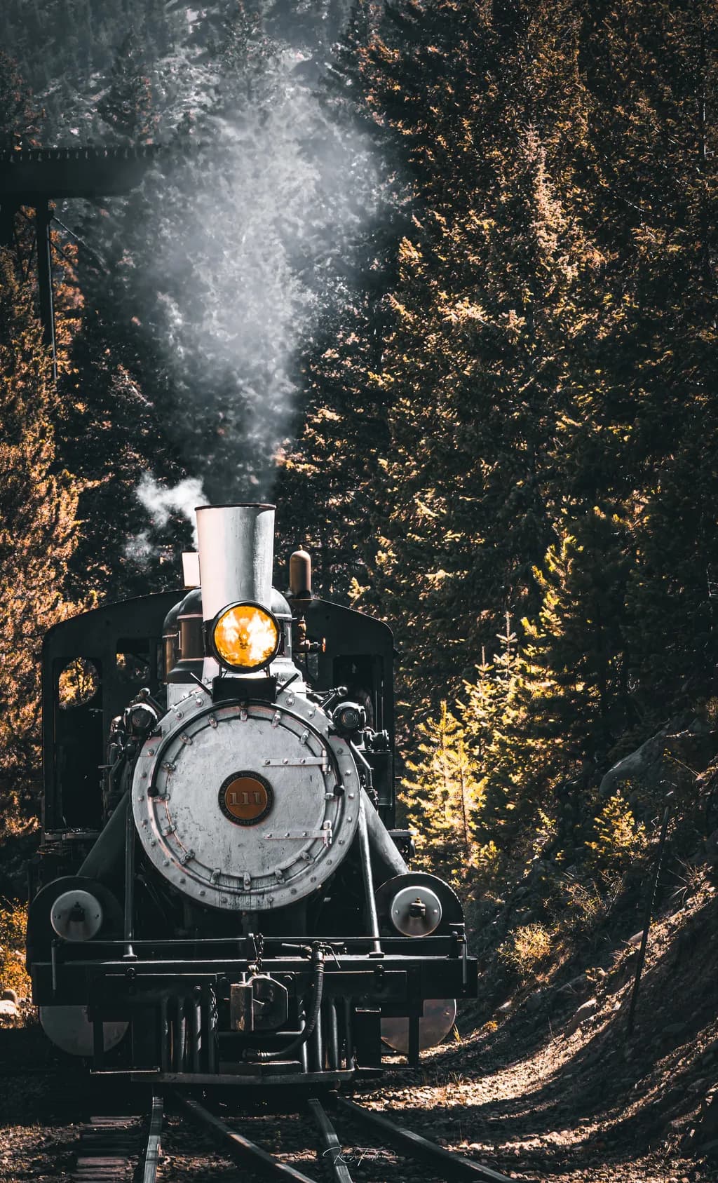 Whispers of the Past: A Vintage Steam Train Journey Through the Enchanted Forest