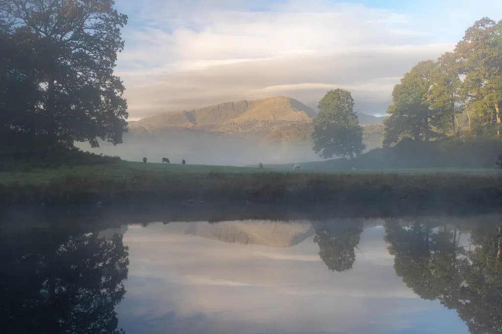 Whispers of Mist: A Serene Reflection in Nature's Embrace
