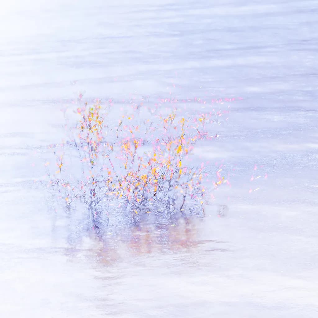 Whispers of Flora: A Serene Reflection in Watercolor Dreams