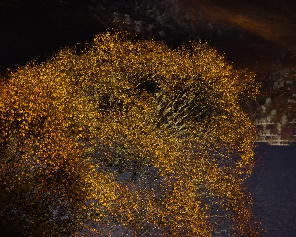 Golden Whispers: A Dance of Autumn Leaves in the Twilight Glow
