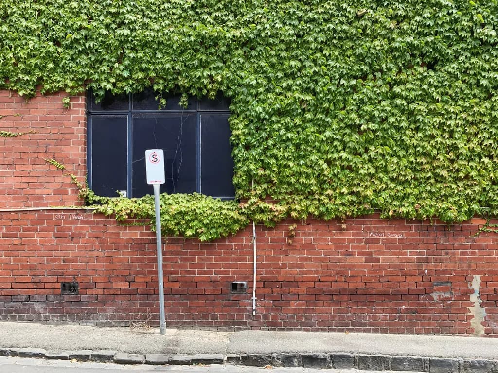 Urban Ivy: Nature's Embrace on a Brick Canvas