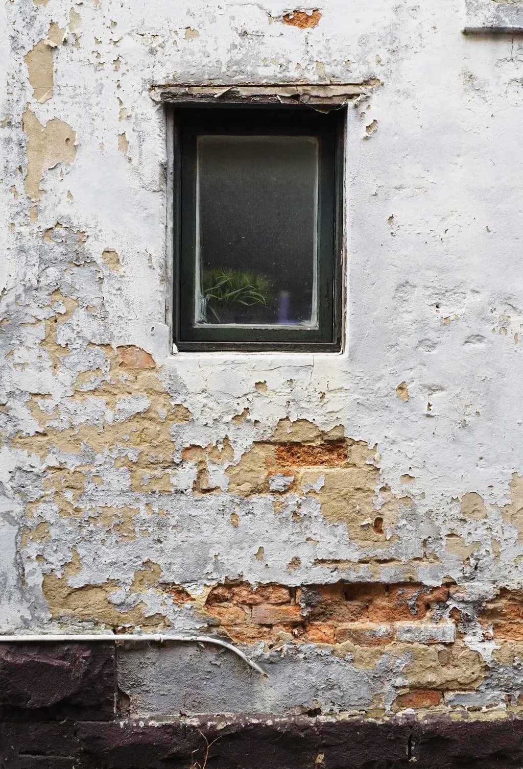Window Trace