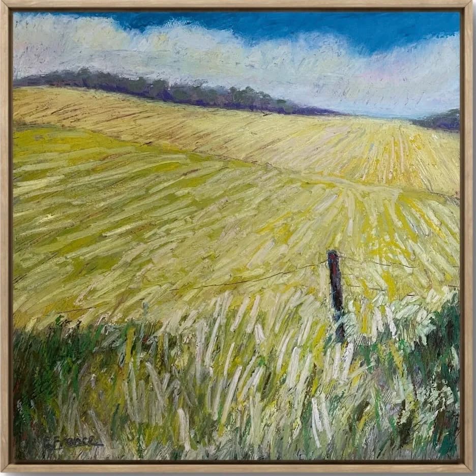 Canola Crop