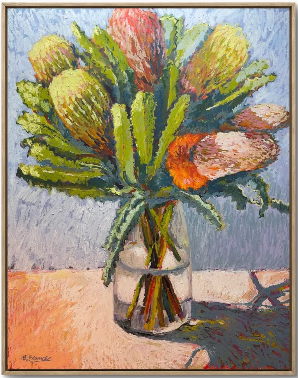 Blooming Banksias 